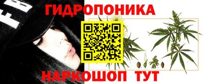 гидропоника Будённовск