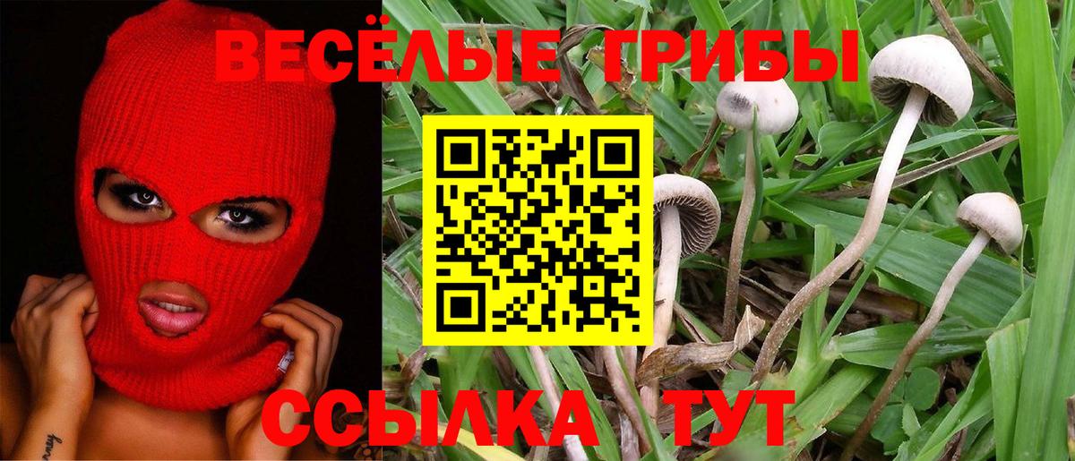 Псилоцибиновые грибы MAGIC MUSHROOMS  Вход с VPN  Шадринск 